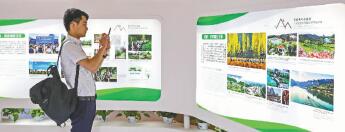 让绿色成为“一带一路”建设的底色 让绿色成为“一带一路”建设的底色