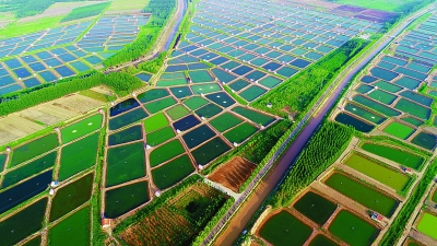 习近平新时代中国特色社会主义思想的开放性品格 习近平新时代中国特色社会主义思想的开放性品格