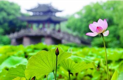 风华绝代说杭州 风华绝代说杭州