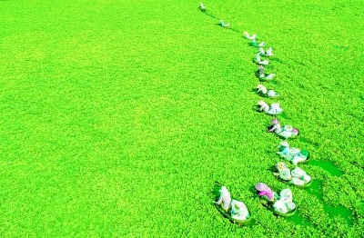 坚定中国特色社会主义的道路自信 坚定中国特色社会主义的道路自信