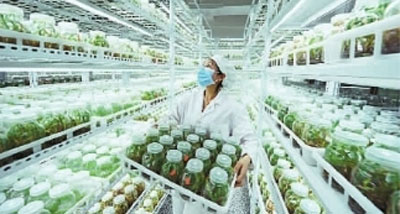 坚定中国特色社会主义的道路自信 坚定中国特色社会主义的道路自信