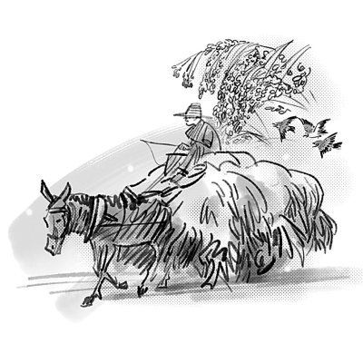 八月黍成 八月黍成