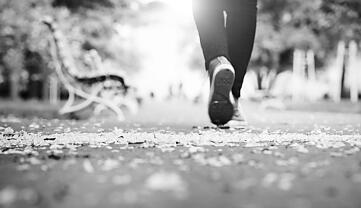 人在路上 人在路上