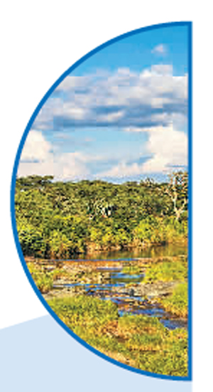 情系中非合作,习近平主席这样说 情系中非合作,习近平主席这样说