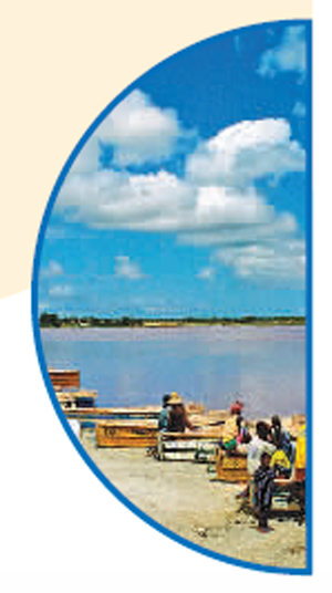 情系中非合作,习近平主席这样说 情系中非合作,习近平主席这样说