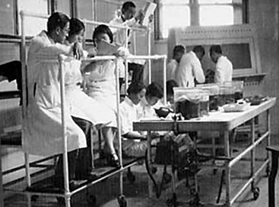 百年不倒的协和