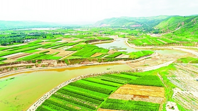 中国特色社会主义的重大贡献 中国特色社会主义的重大贡献