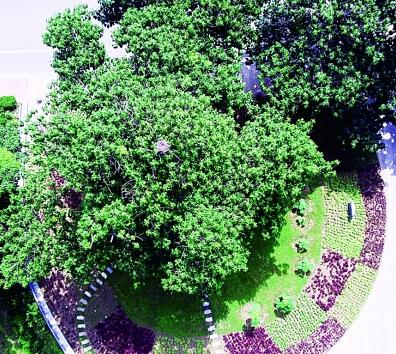 用焦裕禄精神奏响新时代奋进曲 用焦裕禄精神奏响新时代奋进曲