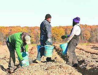 首届中国国际进口博览会引世界关注