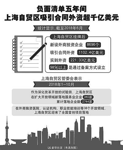 自贸区：从五年深耕读懂中国开放