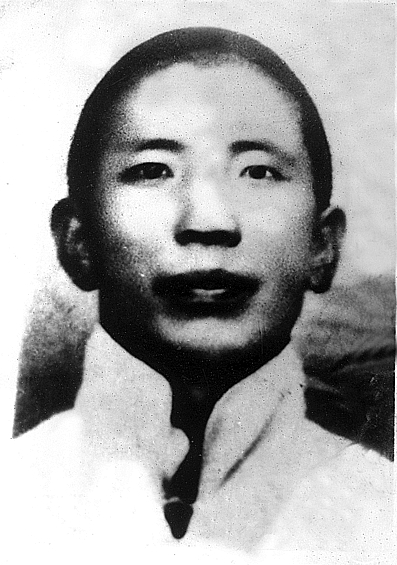 嘉康杰:河东“群众领袖” 嘉康杰:河东“群众领袖”