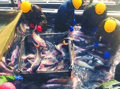 改革开放 人民要求和党的主张的同频共振 改革开放 人民要求和党的主张的同频共振