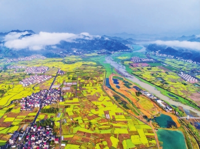 乡村振兴好风景