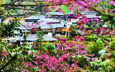 因地制宜 开展农村人居环境整治