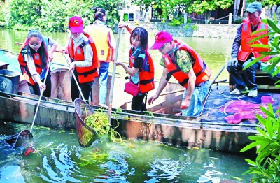 小细胞渗透大治理——来自宁波市北仑区的“红领”启示