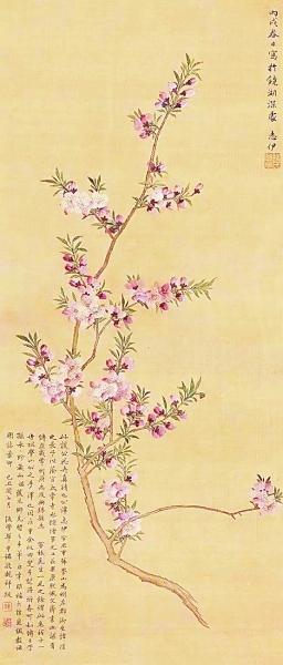 光明文化周末·雅趣：崔护桃花诗后