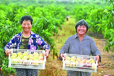 吃改革饭 走创新路