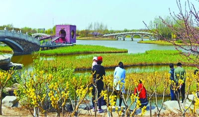 向海而生 欣欣向荣