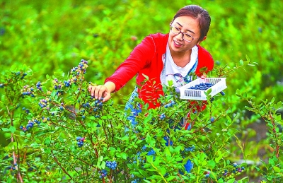 黑土地的大气与豪迈