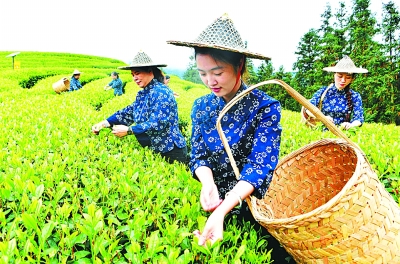 山与海的交响