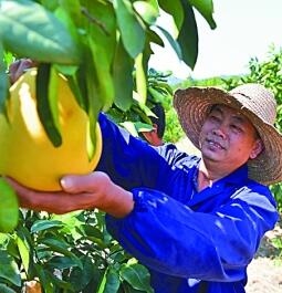 沉甸甸的收获 甜蜜蜜的幸福——庆祝中华人民共和国成立70周年大型成就展