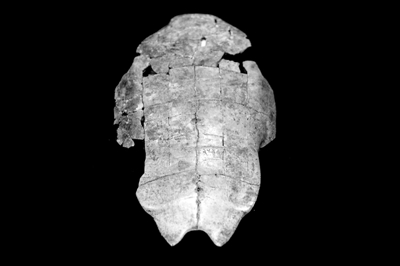 关于武丁以前甲骨文的探索 关于武丁以前甲骨文的探索