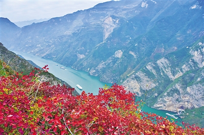 三峡两岸 红叶漫山