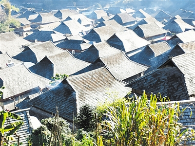 茶产业托起云南民族地区脱贫致富梦 茶产业托起云南民族地区脱贫致富梦