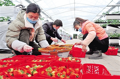 保障群众“菜篮子”