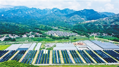 党建引领的乡村蝶变之路 党建引领的乡村蝶变之路