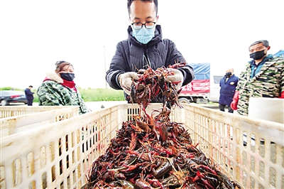湖北农产品重回各地百姓餐桌 湖北农产品重回各地百姓餐桌