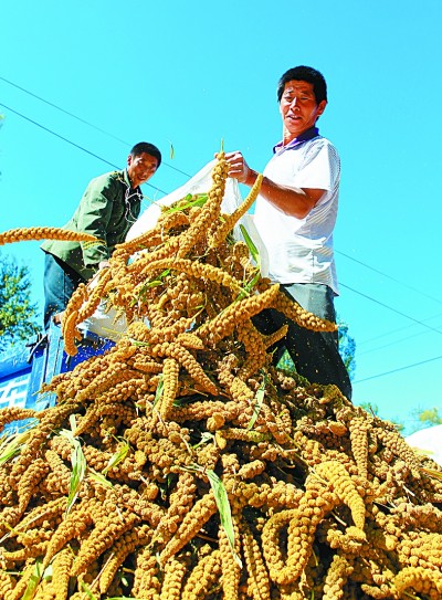 大路朝阳奔小康——辽宁朝阳的脱贫之路