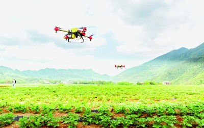 美好未来 实干造就 美好未来 实干造就
