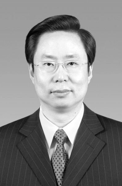 发挥先发优势 走出“创芯强链”之路