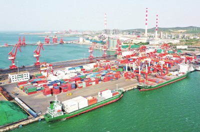 代表委员谈落实两会精神，扎实做好“六稳”“六保”工作