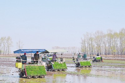 代表委员谈落实两会精神，扎实做好“六稳”“六保”工作