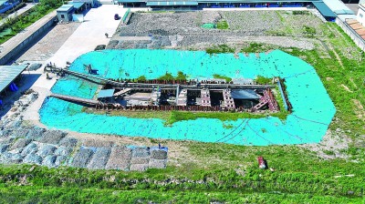 一座井头山 跨越八千年