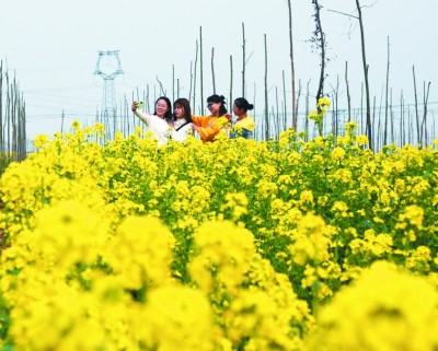 太行深处建起“生态银行”——河北临城的脱贫之路