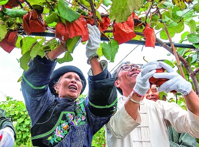 脱贫攻坚，基层党组织战斗力如何更强大