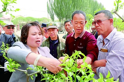 新疆生产建设兵团：弹好民族协奏曲 跑出经济加速度