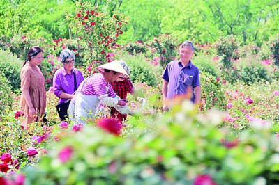 江苏:为实现“强富美高”目标奋力奔跑 江苏:为实现“强富美高”目标奋力奔跑