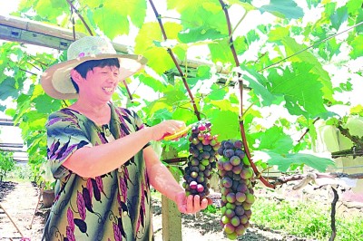 江苏:为实现“强富美高”目标奋力奔跑 江苏:为实现“强富美高”目标奋力奔跑