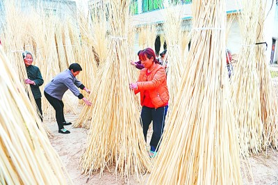 蓄洪区走上小康路