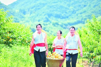 宁波：高质量发展的四组密码