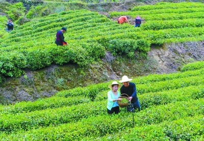 电商红火 山乡巨变——湖北省郧西县下营村的脱贫之路