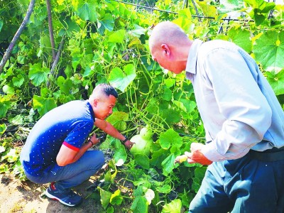 千年古村 美丽蝶变——山西省岢岚县宋家沟村的脱贫之路