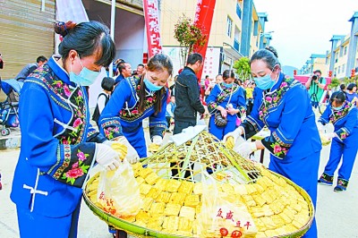 “尖刀班”让村里种上“摇钱树”