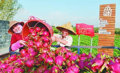 厦门:全力推进“岛内大提升,岛外大发展” 厦门:全力推进“岛内大提升,岛外大发展”