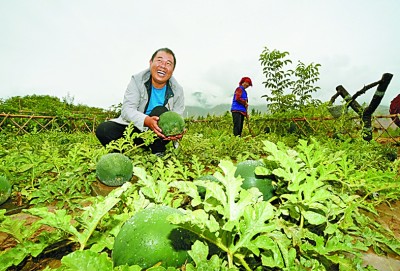 下山后的幸福生活——青海省尖扎县德吉村的脱贫之路