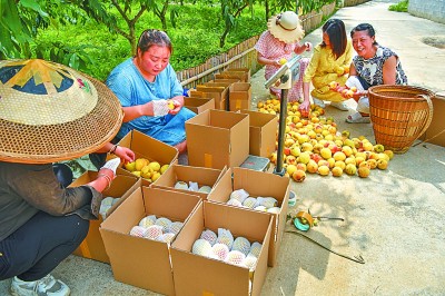 搬出来的红火日子——湖南省凤凰县夯卡村的脱贫之路